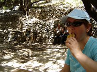 Photo 174